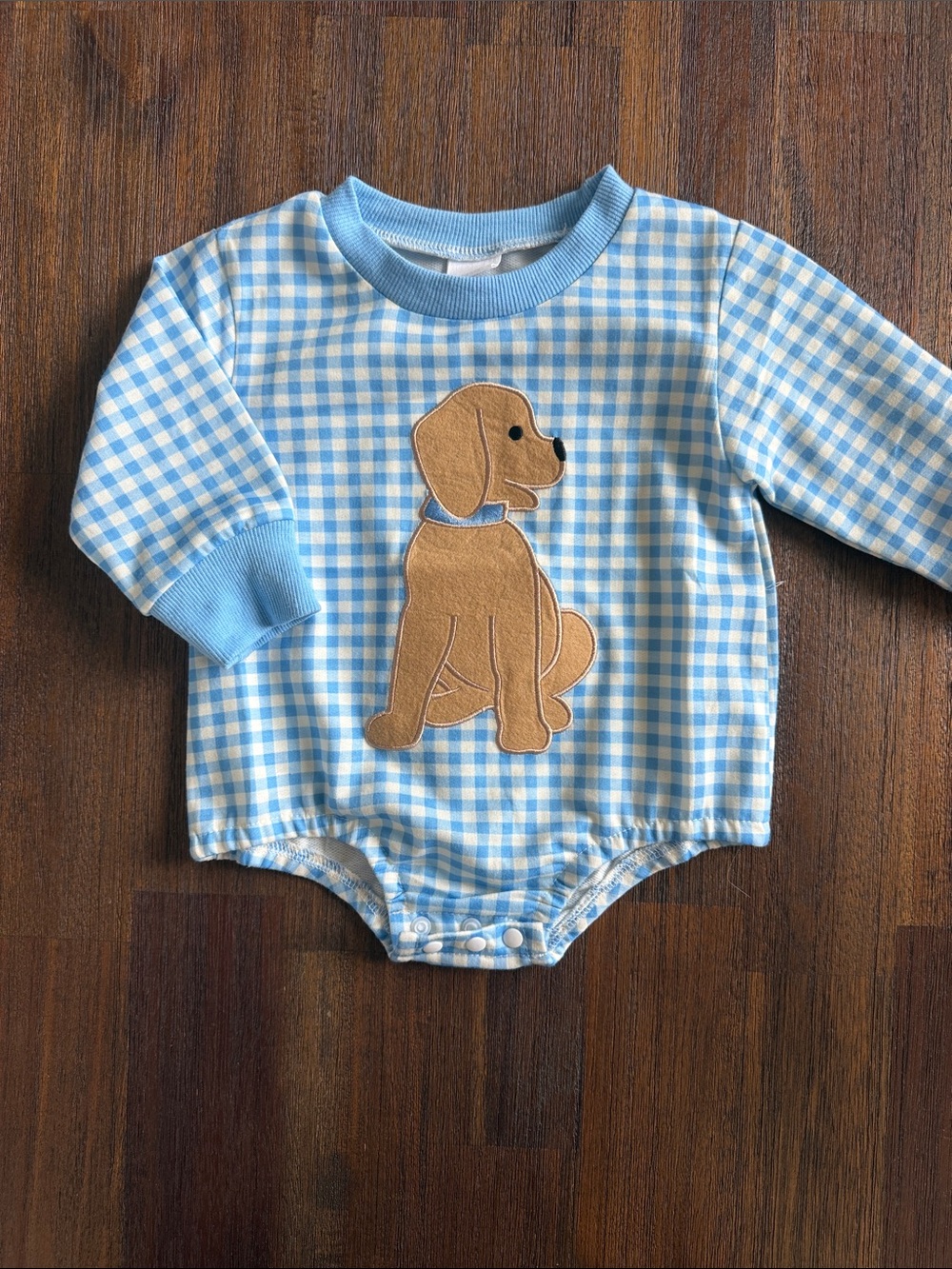3-6 month Blue Gingham Baby Bodysuit with Puppy Applique